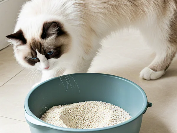 Pet catlitter